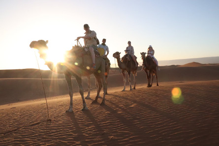 Camel Rides into the Moroccan desert