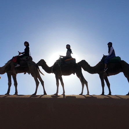 Camel Trekking in the dunes surrounding the main camp